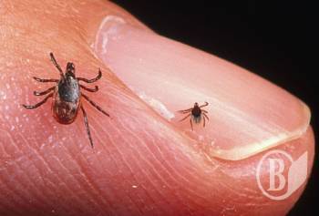 �� ���������� �� ���������� ����?